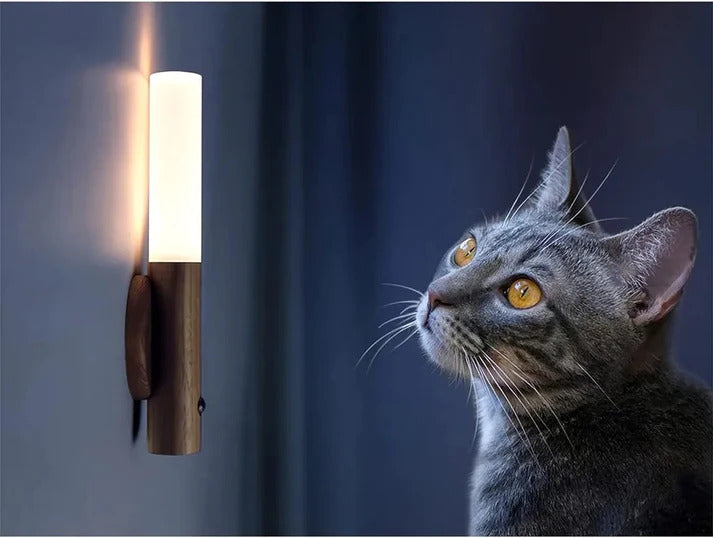 Luminaflux® Wooden Motion Sensor Light