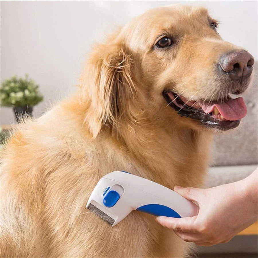 Premium Quality Electric Flea Remover For Dogs And Cats honess.in