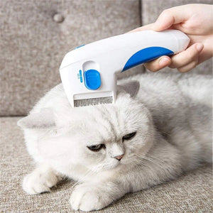 Electric comb sales cat flea removal