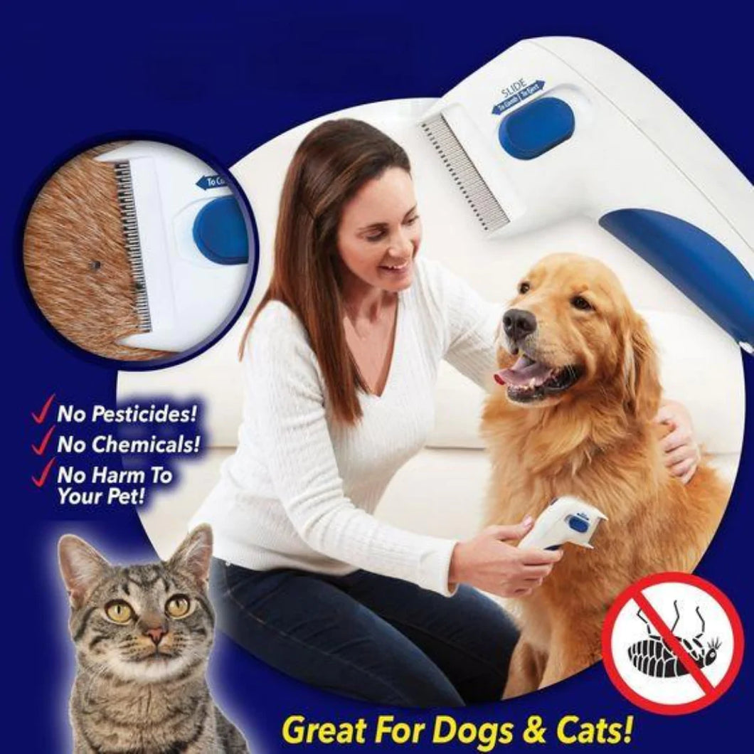 Electronic flea collar hot sale